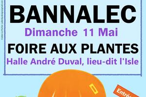 photo Foire aux plantes
