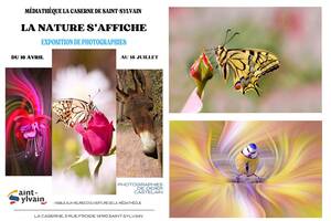 photo Exposition de Photographies