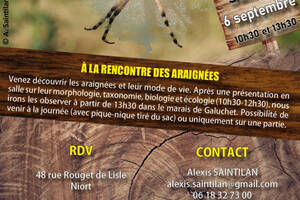 photo À la rencontre des araignées