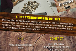 photo Atelier d'identification des mulettes