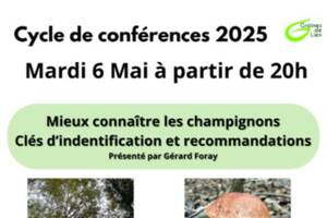 photo Mieux connaître les champignons Clés d’identification et recommandations