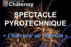 photo Spectacle pyrotechnique musical 