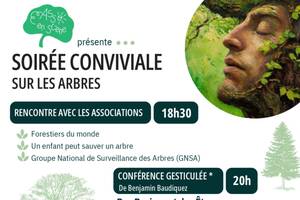 photo Soirée conviviale sur les arbres proposée par AssoEnScene