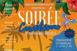 photo La soirée caraibéenne de Donnemarie-Dontilly
