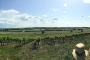photo MARCHE GOURMANDE CHAMPAGNAC / MEUX