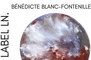 photo Exposition Bénédicte Blanc-Fontenille