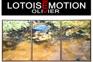 photo Lotoisémotion