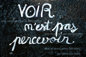 photo Exposition-conférence sur le thème: VOIR n'est pas percevoir