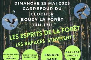 photo Les Esprits de la Forêt