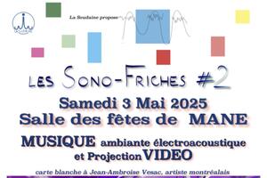 photo Les Sono-Friches #2