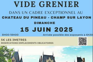 photo VIDE GRENIER ET VISITE DU CHATEAU DU PINEAU - 49 CHAMP-SUR-LAYON