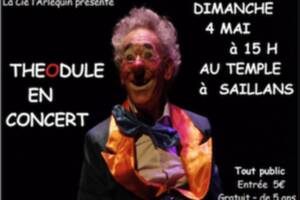 photo Théodule en concert