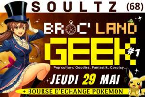 photo Broc'land geek