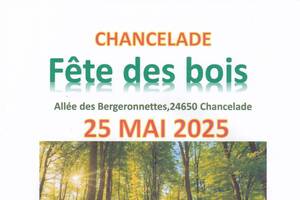 photo vide grenier