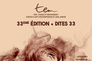 photo TEM 33ème édition - Dites 33