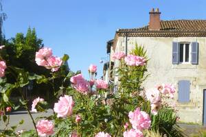 photo Fête Généreuse de la Rose