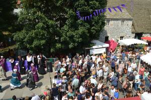 Foire des violettes 2025