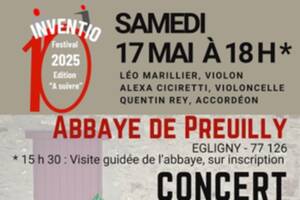 photo Concert et contes à l'abbaye : trio violon-violoncelle-accordéon