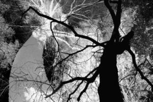 photo FINISSAGE Moïse SADOUN – Bipolarités