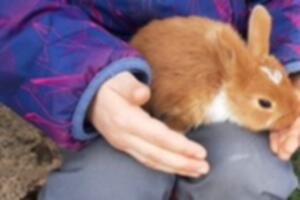 Rendez-vous insolite