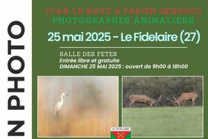 Exposition de photos animalières