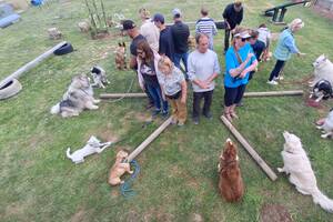 ÉDUCATION CANINE CHATEAUNEUF EN THYMERAIS FAIT SON SHOW !