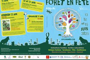 photo 14e edition de Forêt en Fête