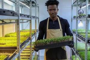 Événement : à la découverte des micro-pousses