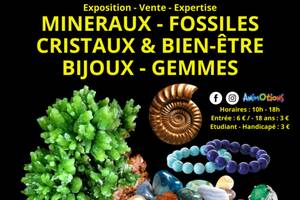 photo Salon Minéraux Fossiles Cristaux & Bien-Être Bijoux et Gemmes de Nîmes30540
