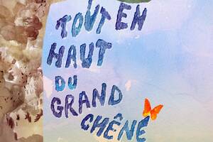 Spectacle - tout en haut du garnd chêne