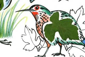 photo Atelier de dessin - les oiseaux, envolée