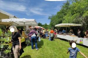 photo 8° Fête des plantes médicinales