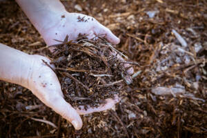 photo Initiation Compost/CLAP