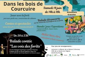 LES NUITS DES FORETS