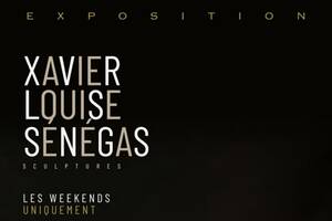 Exposition de Xavier Louise Sénégas