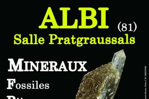 10e SALON MINERAUX FOSSILES BIJOUX