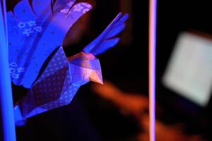 Ateliers autour de la Flûte Enchantée