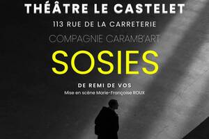 THEATRE Sosies de Rémi De Vos