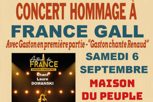 photo Concert en hommage à France Gall