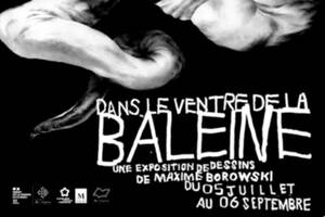 Dans le ventre de la baleine