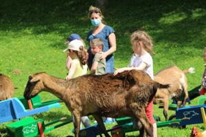 Visite ferme pédagogique et atelier nourrissage des animaux