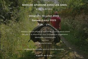 Marche afghane avec les ânes