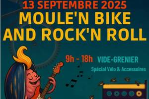Vide-greniers Vélo et accessoires