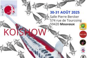 photo Koishow et village japonais