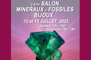 Salon minéraux, fossiles, bijoux de créateur.