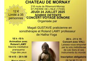 SOIREE DETENTE ET CONCERT VOYAGE SONORE