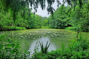 photo Balade découverte herpétologique et Jardin de Biodiversité Vallée de Courtineau