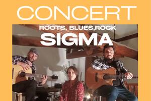 Concert du groupe