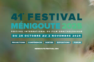 41e Festival International du Film Ornithologique de Ménigoute