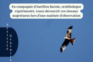 Le grand voyage